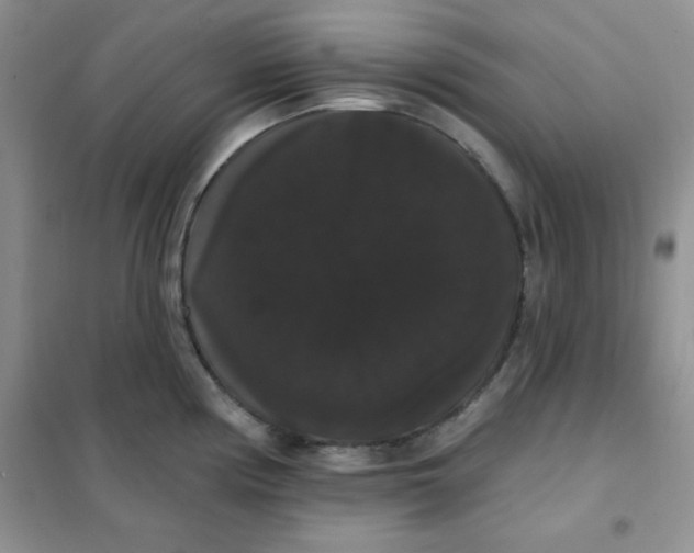 X0000101981194200808011052