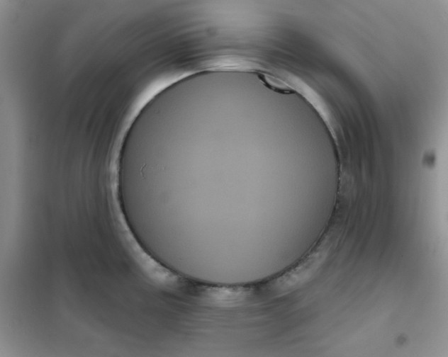 X0000101981195200808011052