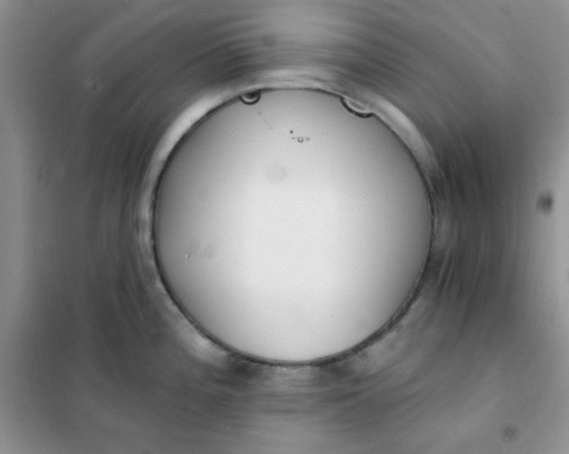 X0000101981196200808011052