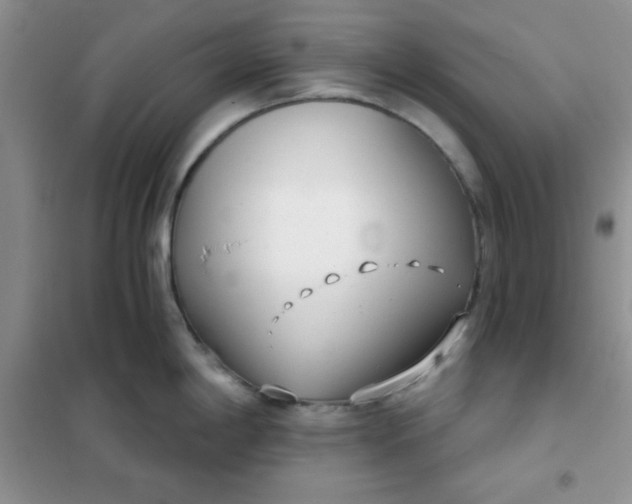 X0000101981198200808011052