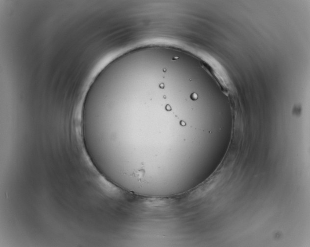 X0000101981199200808011052