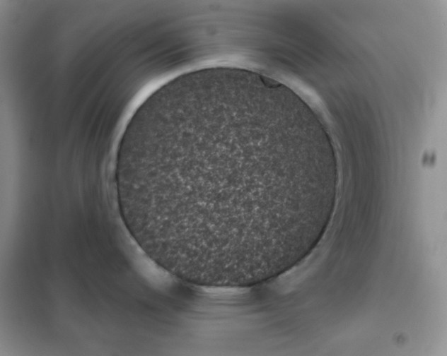 X0000101981200200808011052