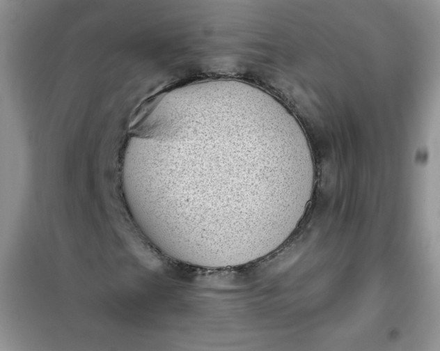 X0000101981201200808011051