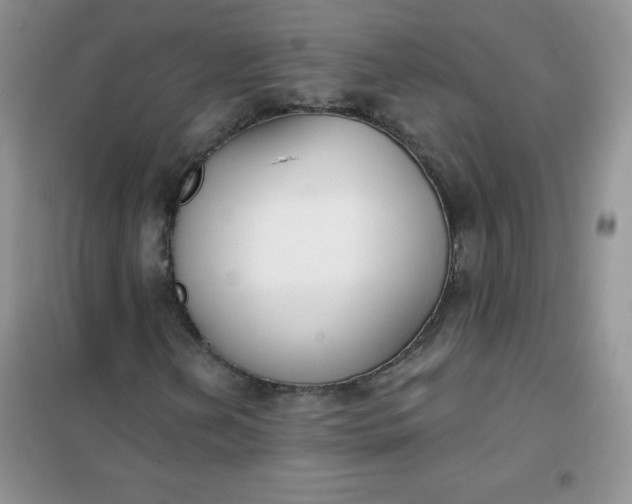 X0000101981202200808011051