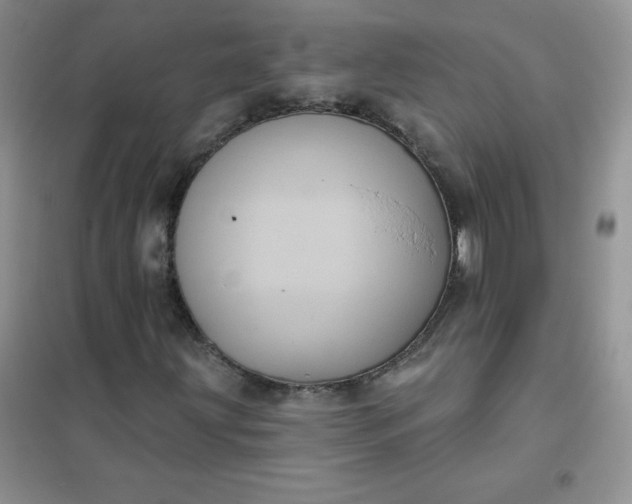 X0000101981203200808011052