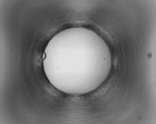 X0000101981204200808011052