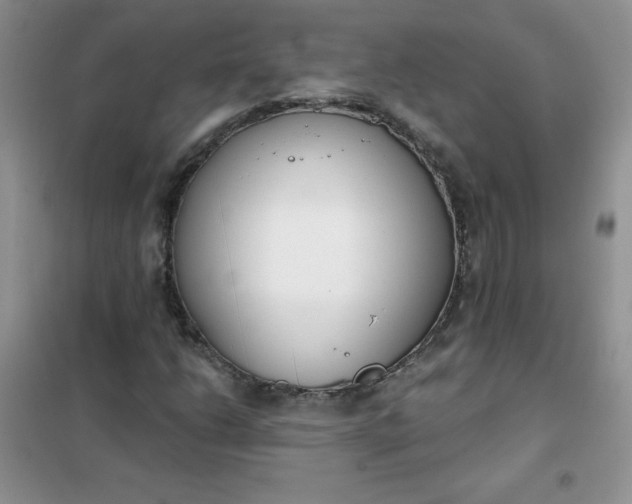 X0000101981206200808011052