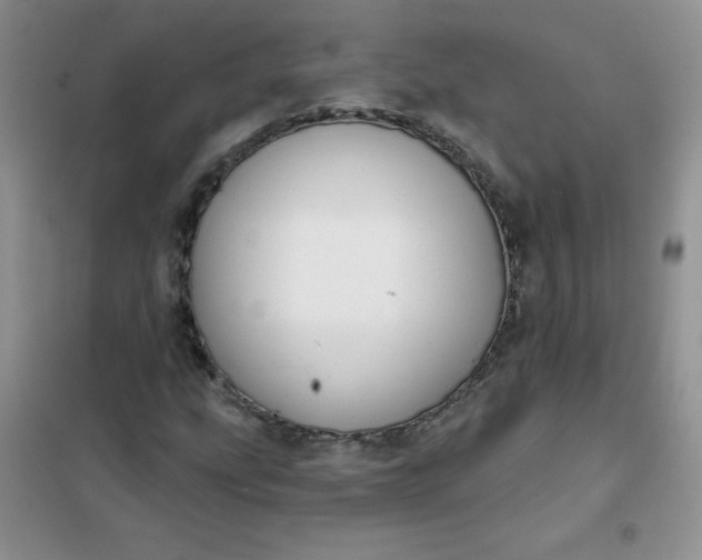 X0000101981207200808011052