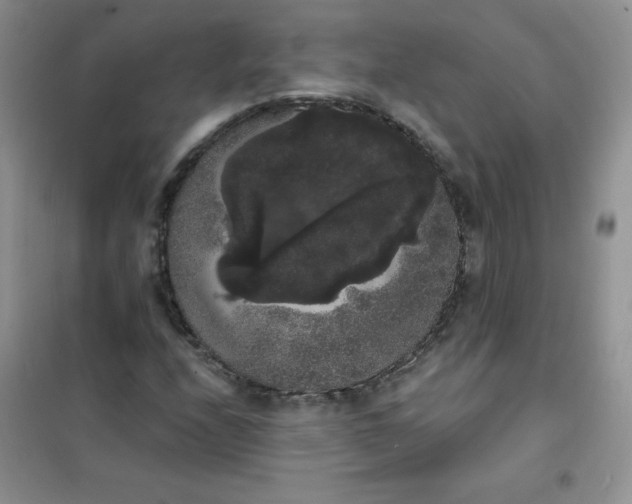 X0000101981208200808011052