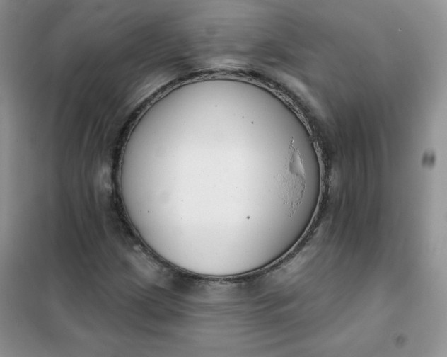 X0000101981209200808011052