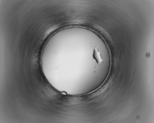 X0000101981210200808011052