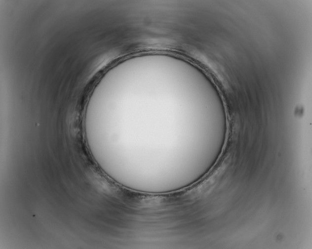 X0000101981211200808011052