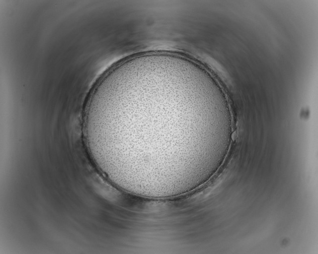 X0000101981212200808011052