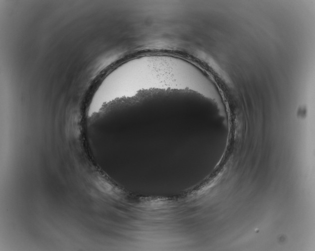 X0000101981213200808011052