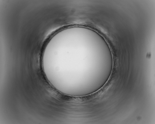 X0000101981214200808011052