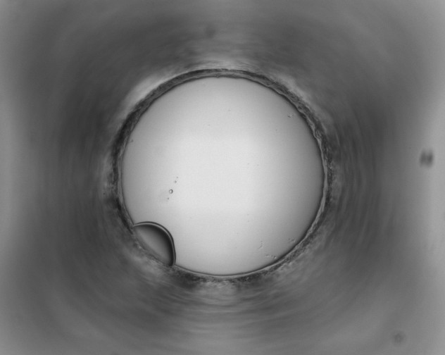 X0000101981215200808011052