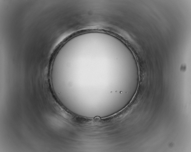 X0000101981216200808011052