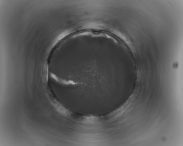 X0000101981219200808011052