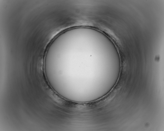 X0000101981220200808011052