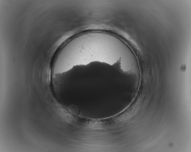 X0000101981221200808011052