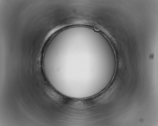 X0000101981222200808011052