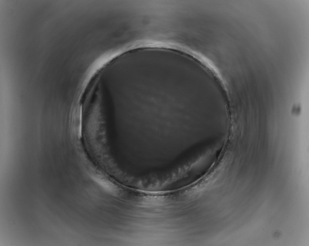 X0000101981223200808011052