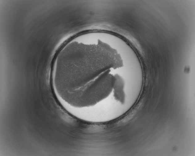 X0000101981224200808011052