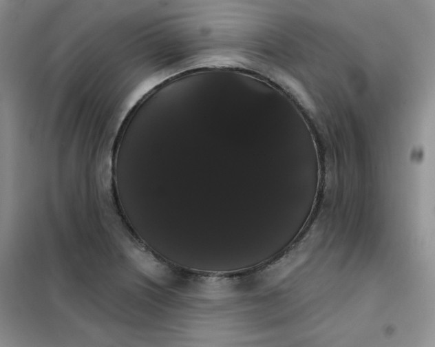 X0000101981226200808011052