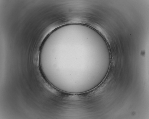 X0000101981227200808011052