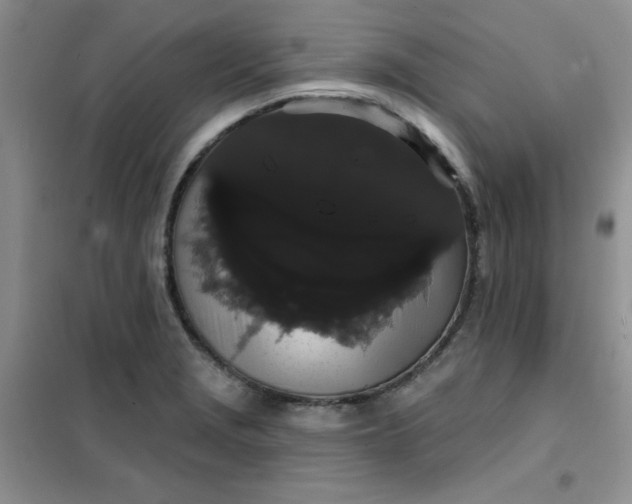 X0000101981229200808011052