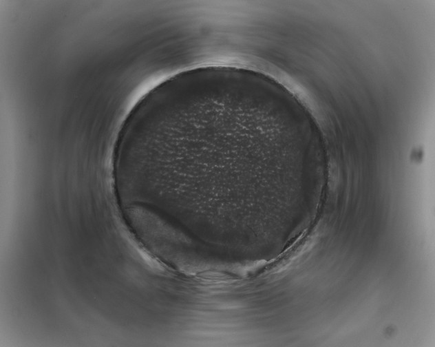 X0000101981230200808011052