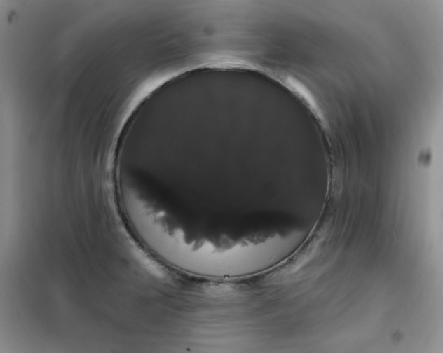 X0000101981231200808011052