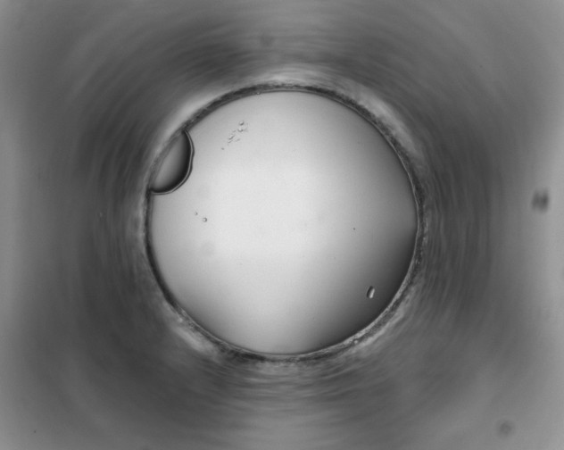 X0000101981232200808011052