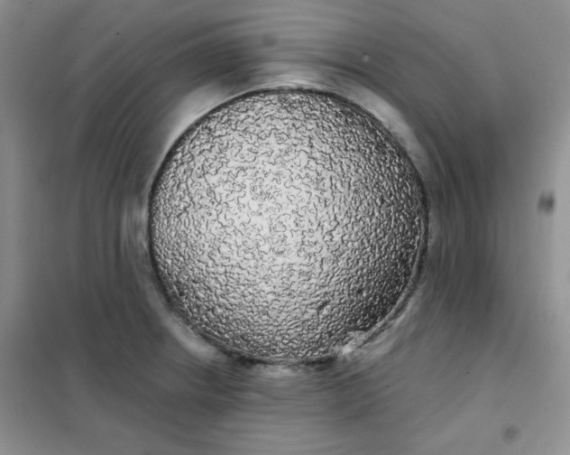 X0000101981234200808011052