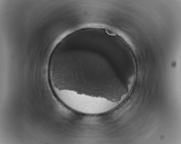 X0000101981237200808011052