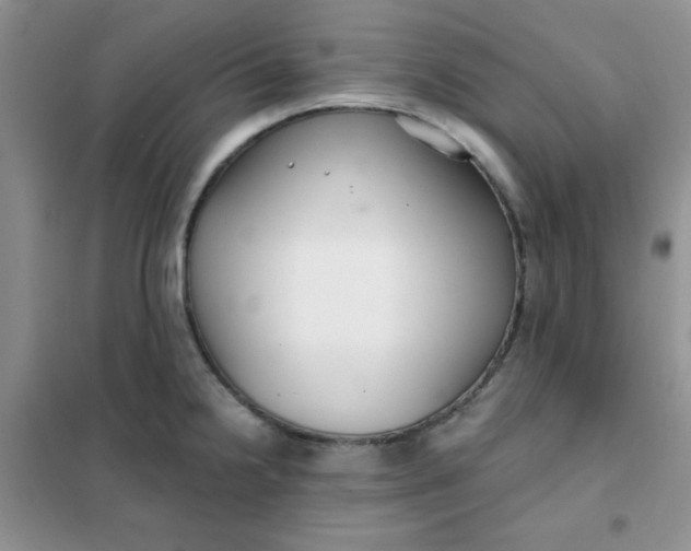 X0000101981238200808011052