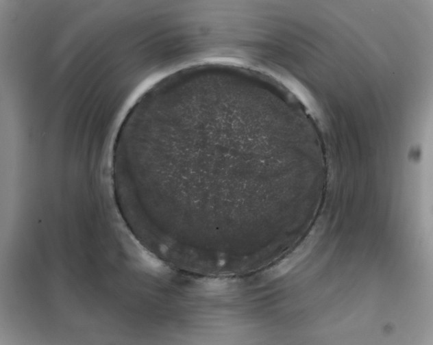 X0000101981240200808011052