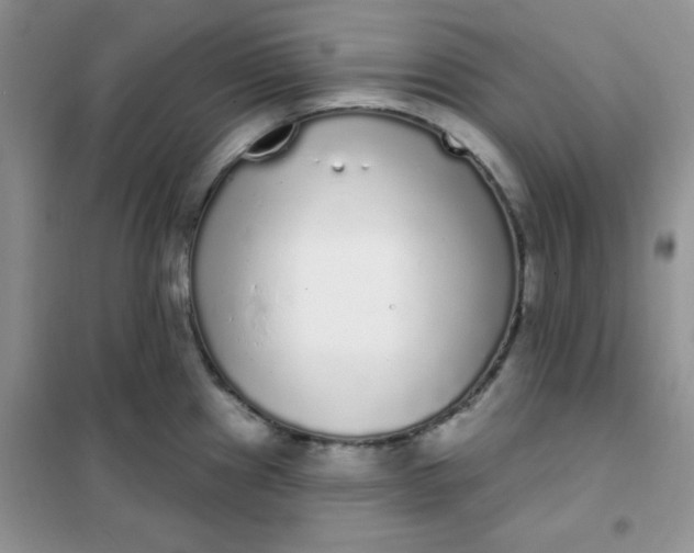 X0000101981241200808011052