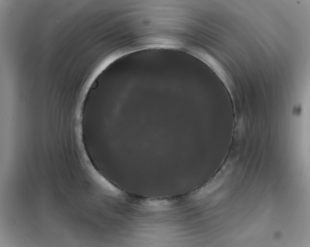 X0000101981243200808011052