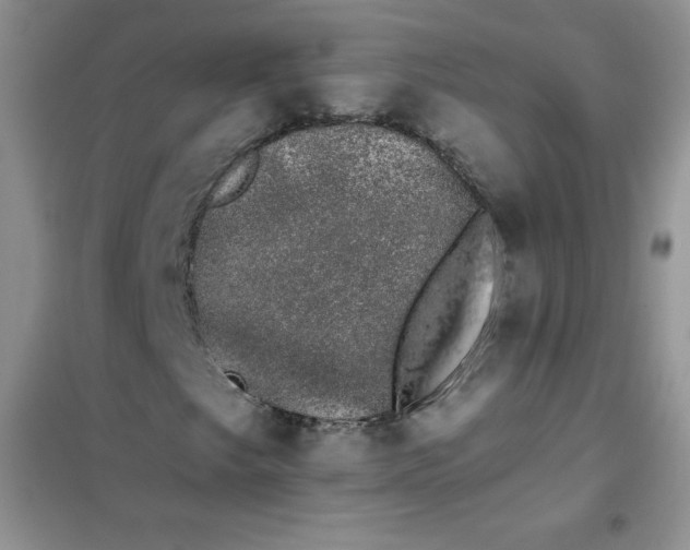 X0000101981249200808011051