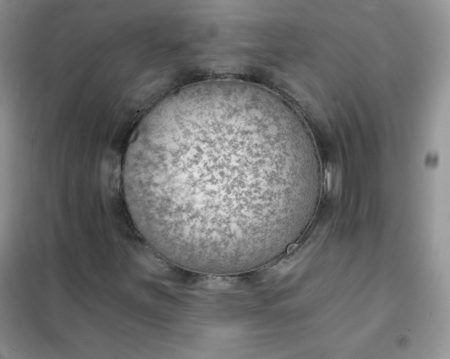 X0000101981251200808011051