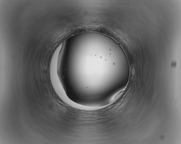 X0000101981252200808011051