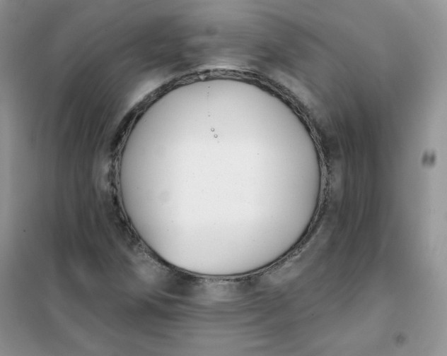 X0000101981258200808011051