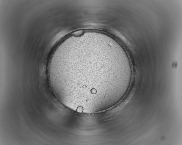 X0000101981259200808011051