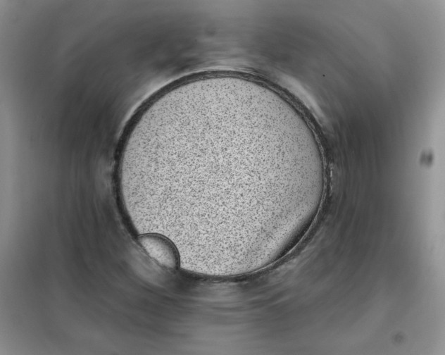 X0000101981260200808011051