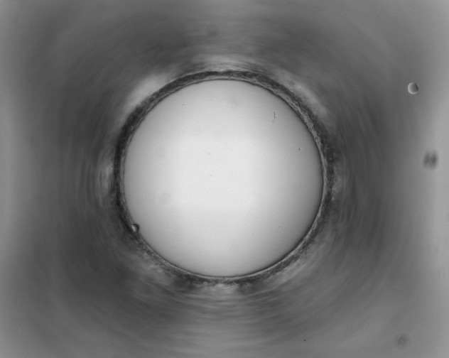 X0000101981261200808011051