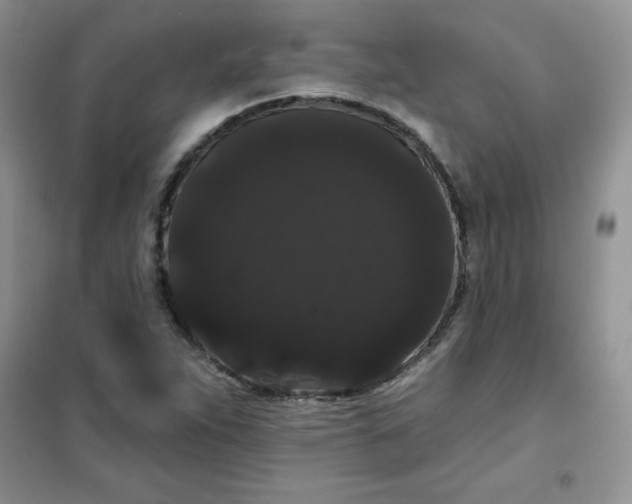 X0000101981263200808011051