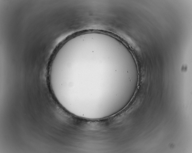 X0000101981264200808011051