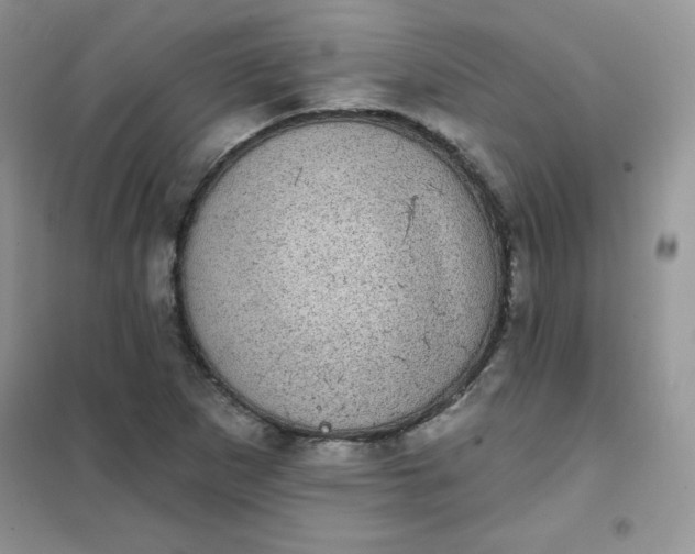 X0000101981265200808011051