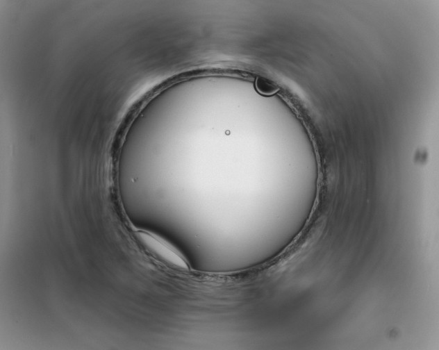 X0000101981267200808011051